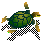Schildkröte Zakynthos