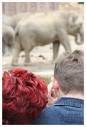 zoobesucher
