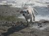 Angel-Face-Ostsee2