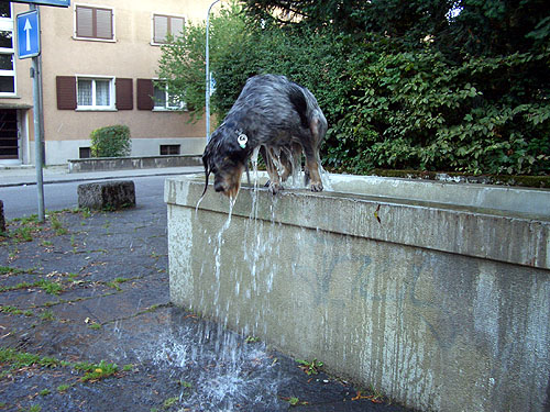 hexebrunnen