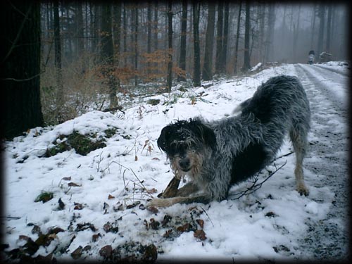 hexeimschnee