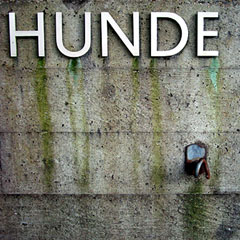 hunde