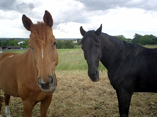 wunderbarefreundschaft